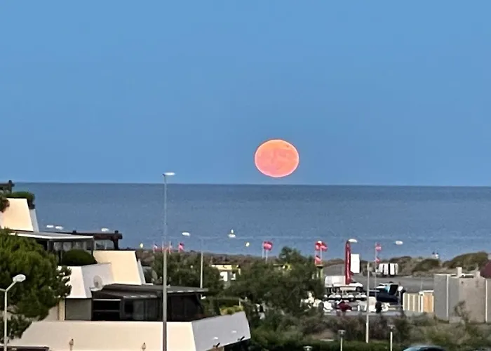 Village Naturiste Cap D Port Venus 405 Appartement *